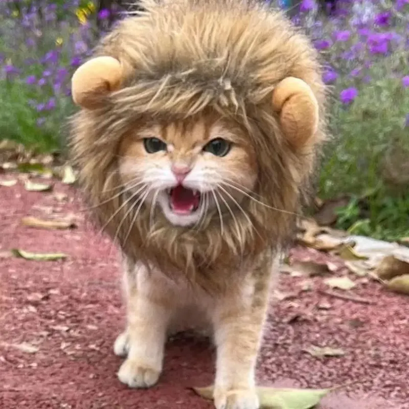 Lion Mane Pet Costume Wig Hat 4