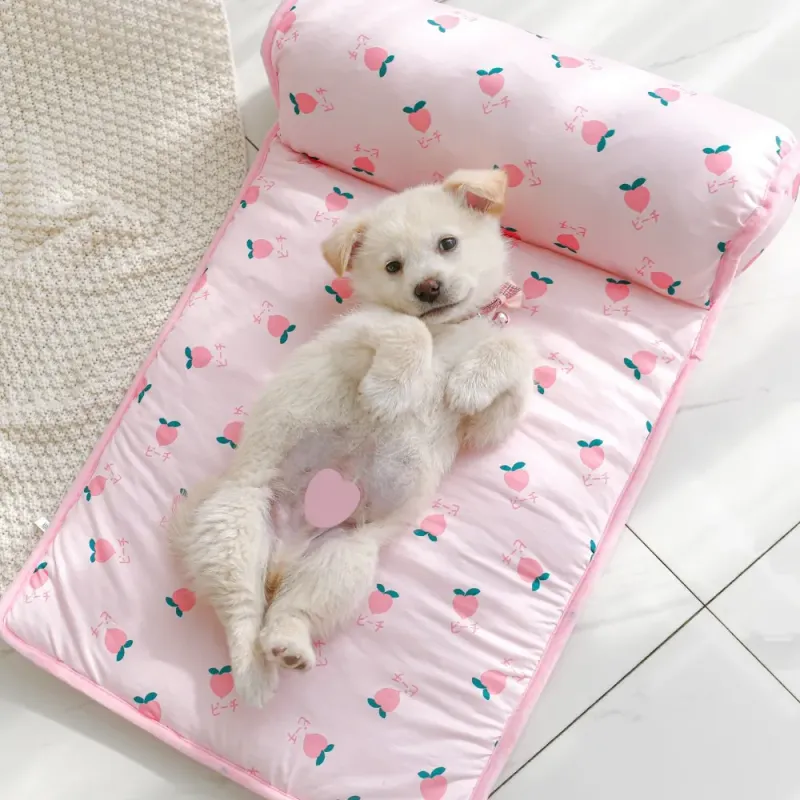 Cooling Pet Mat - Summer Pad 1