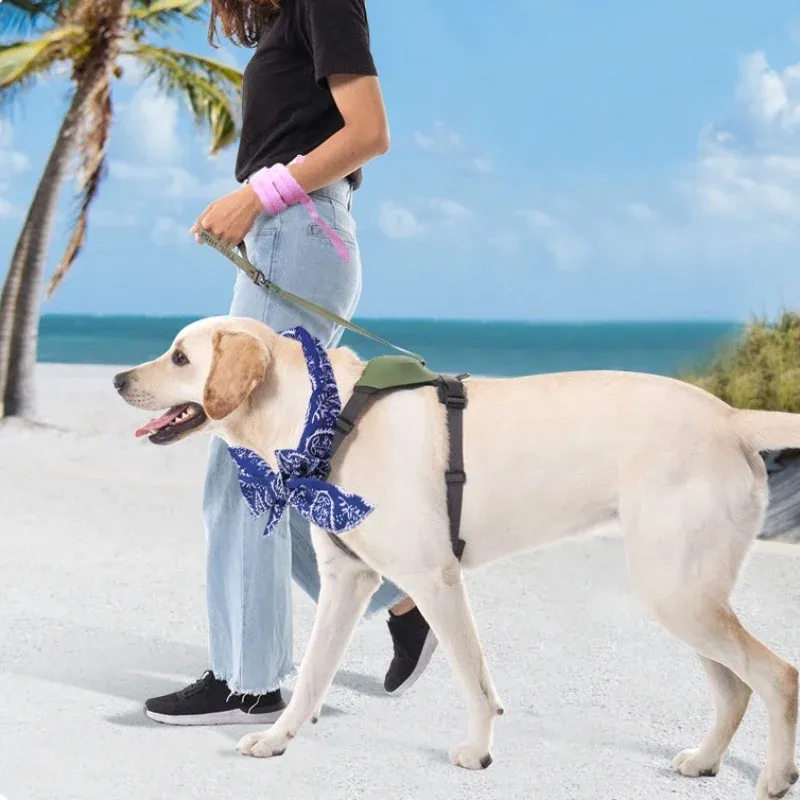 Pet Cooling Scarf Collar 4