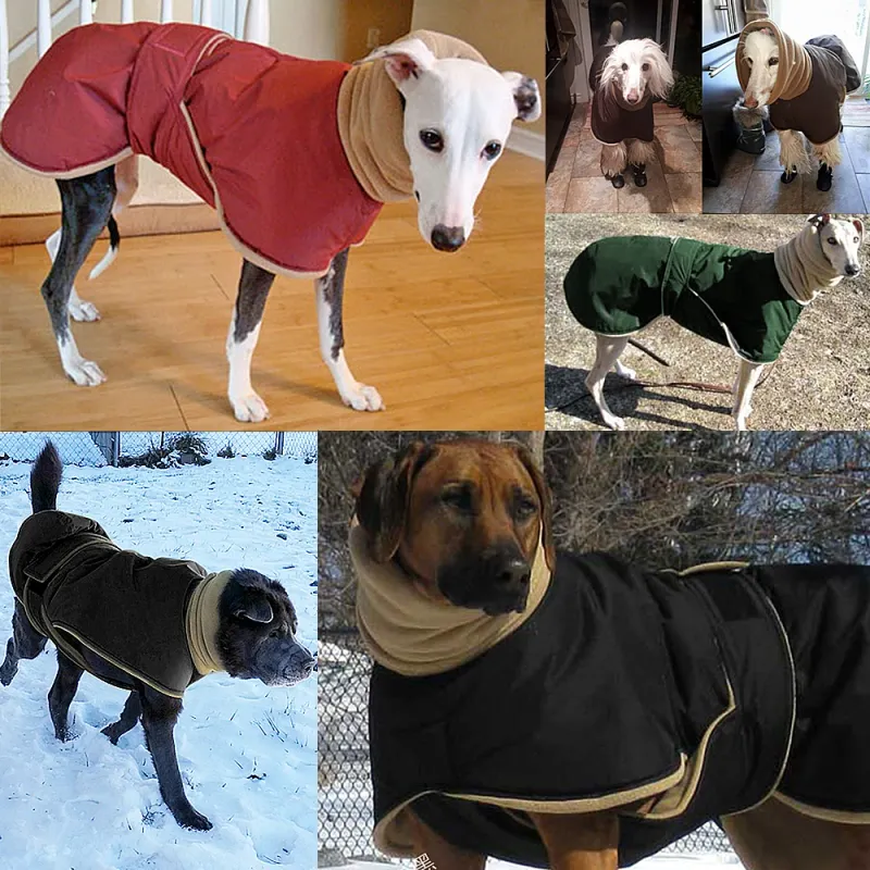 Waterproof Winter Dog Coat for Large Dogs 4