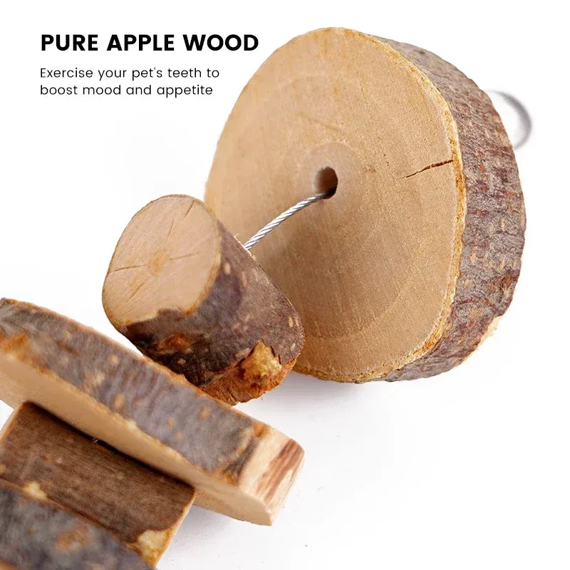Natural Wood Chew Sticks for Small Pets 5