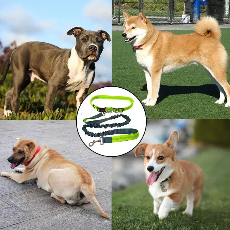 Hands-Free Adjustable Dog Leash Waist Belt 6