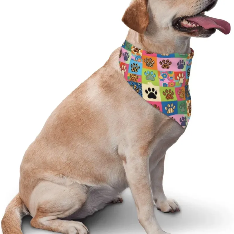Cooling Dog Bandana Scarf Set 2