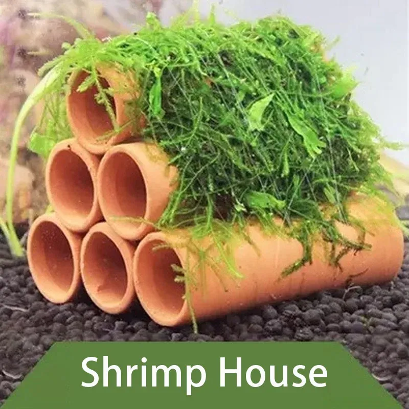 Clay Aquarium Cave Shelter 2
