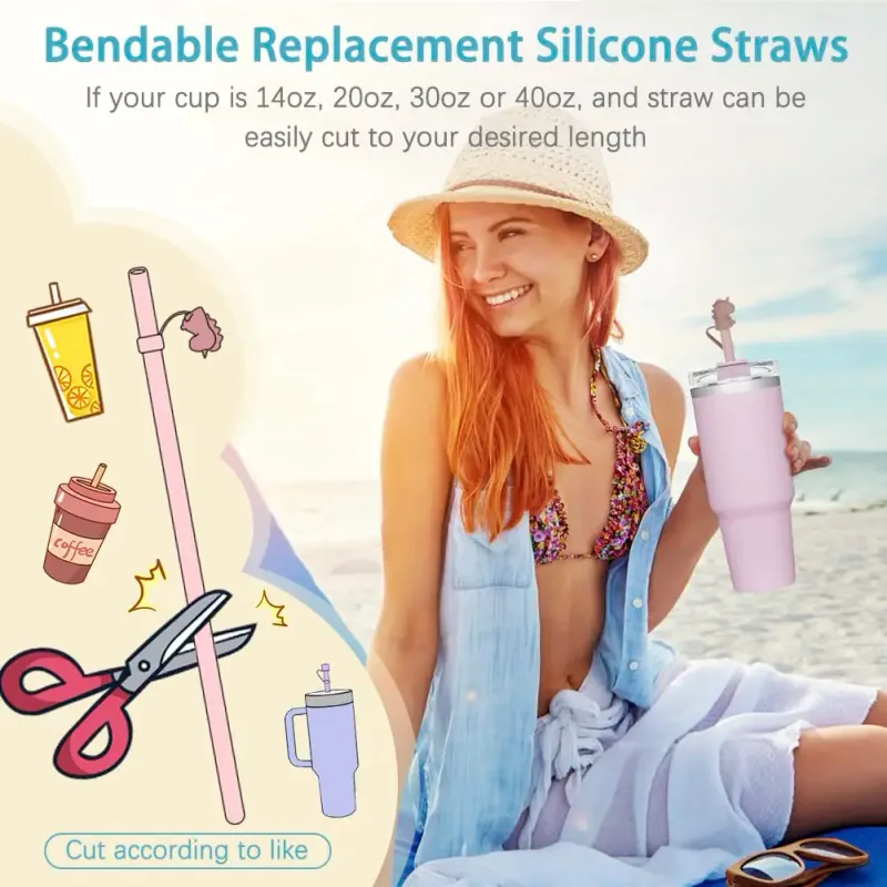 Stanley Straw Replacement Kit 4
