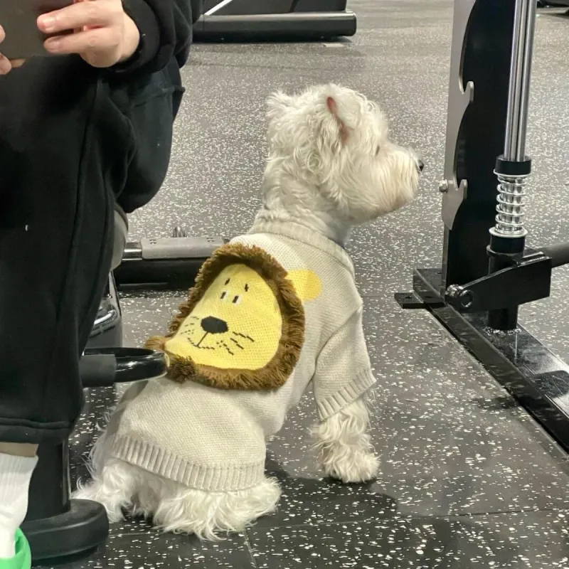 Lion Knit Pet Sweater Jacket 4
