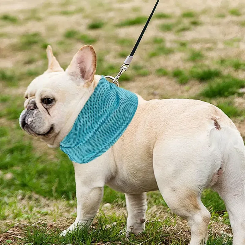 Reusable Cooling Dog Bandana 6