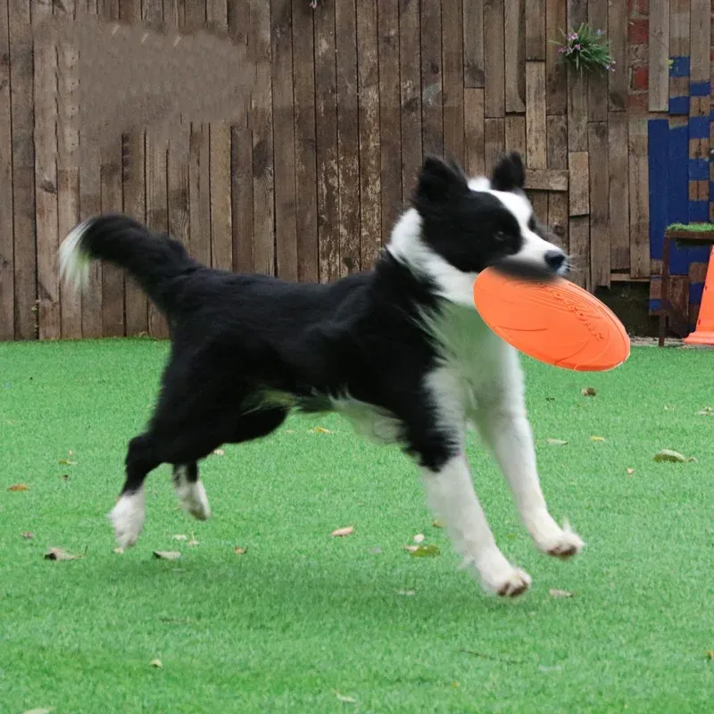 Silicone Flying Saucer Pet Frisbee Toy 3