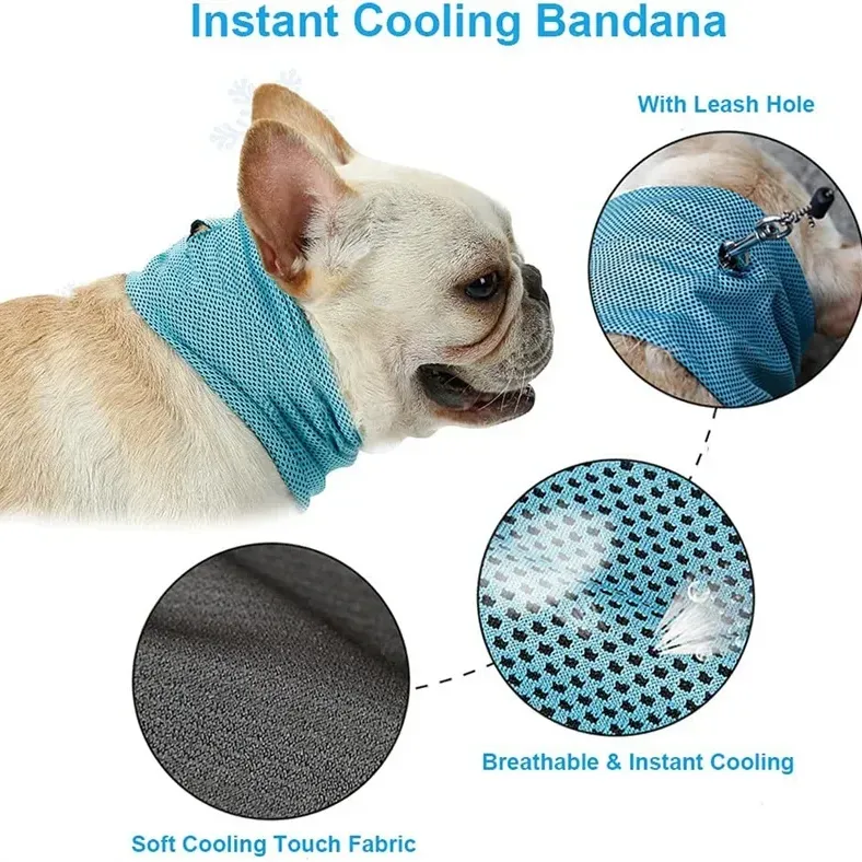 Cooling Bandana for Dogs 6