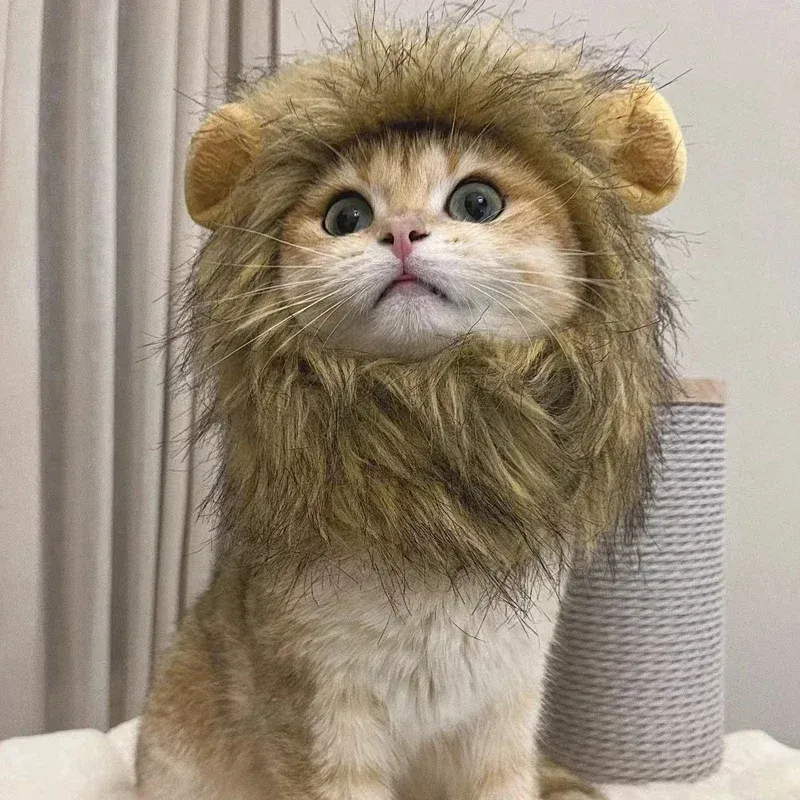 Lion Mane Pet Costume Wig Hat 2