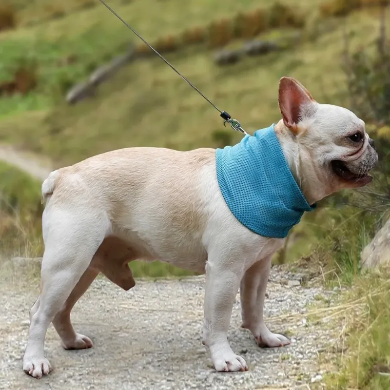Reusable Pet Cooling Ice Towel 4