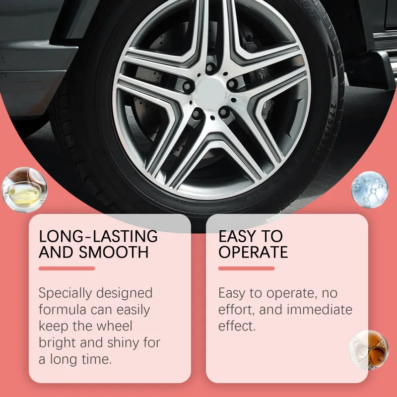 Pro Wheel & Rim Cleaner Spray Kit 4