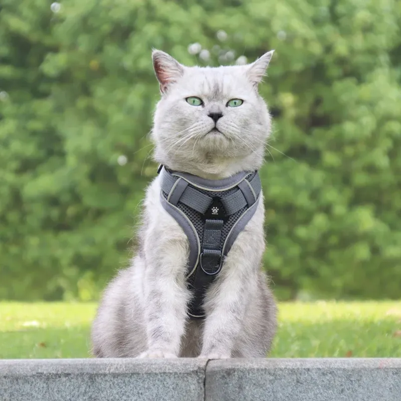 Cat Harness & Leash Set - Reflective & Escape Proof 5