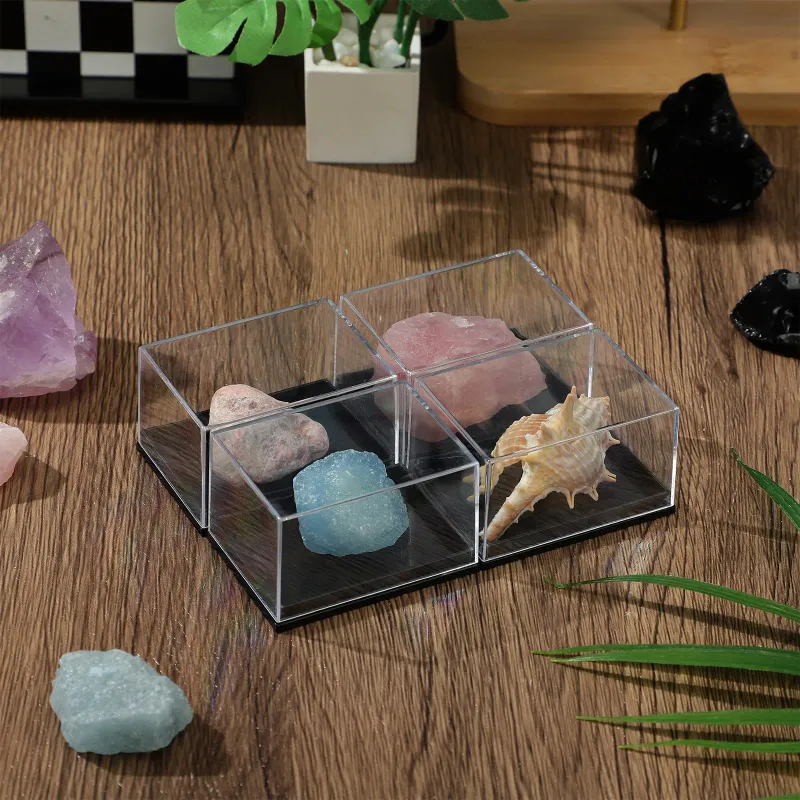 4Pcs Clear Specimen Display Boxes 1