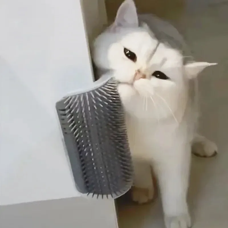 Cat Self Groomer Brush with Catnip 2