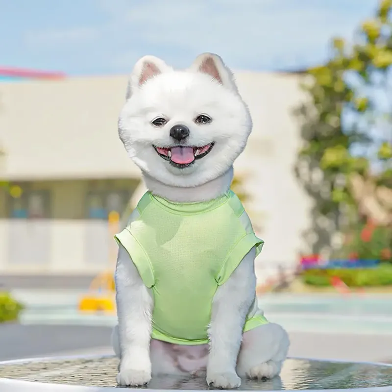 Summer Cooling Dog T-Shirt 3