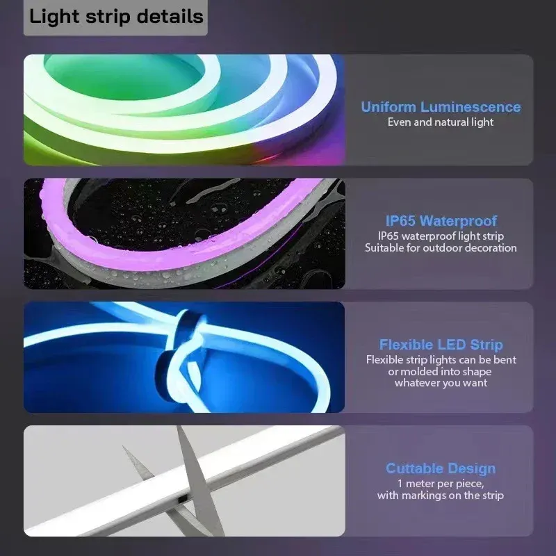 RGBIC Neon LED Strip Lights with Music Sync 2
