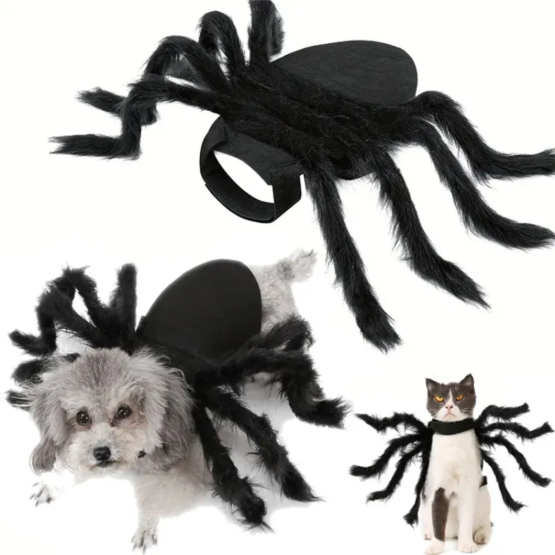 Halloween Spider Pet Costume 2