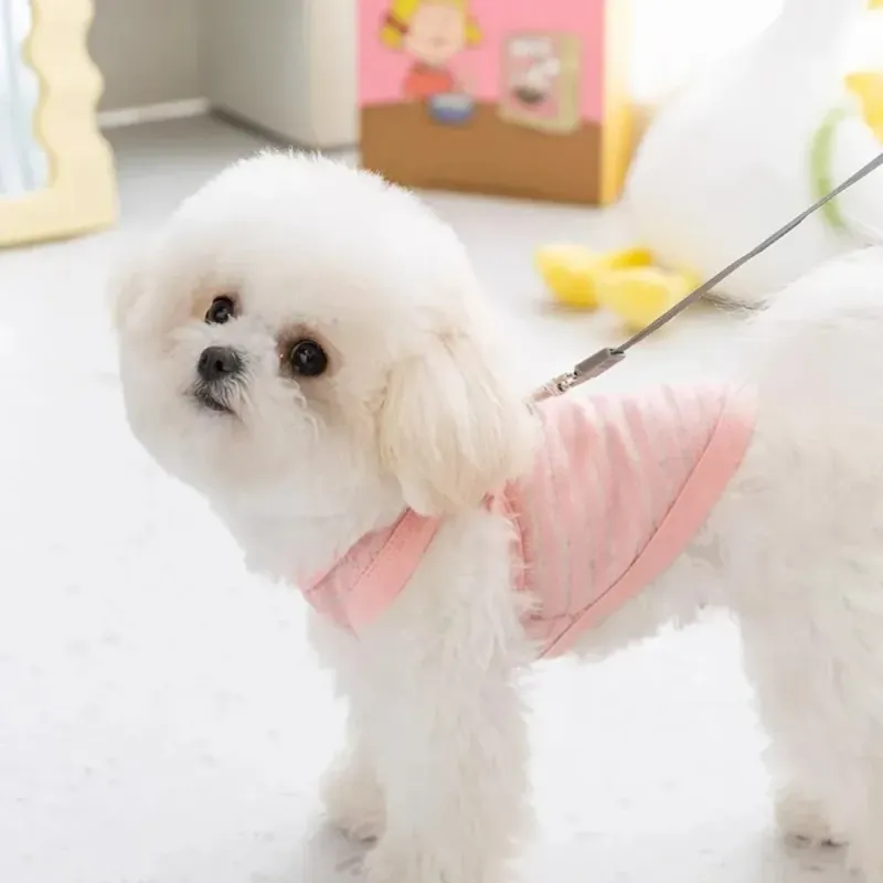 Dog Cooling Vest for Summer 3