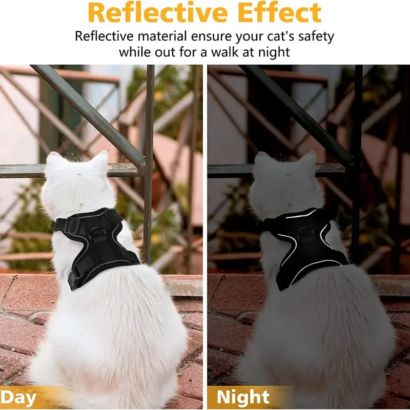 Escape Proof Cat Harness & Leash Set 6