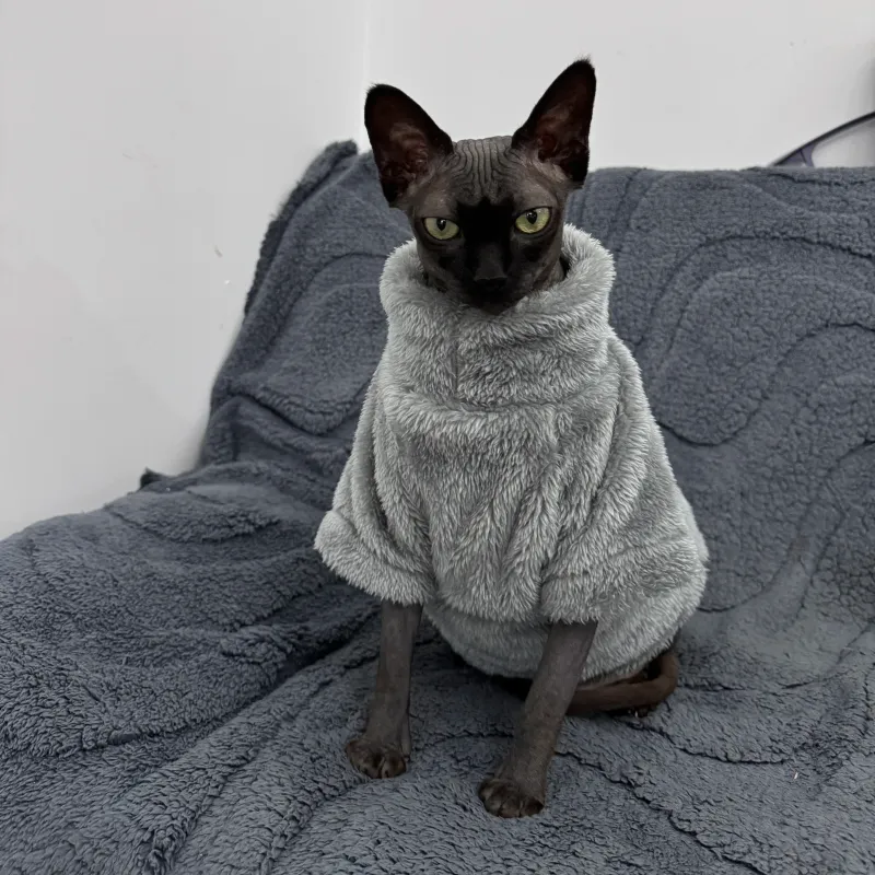 Arctic Velvet Cat Sweater 1