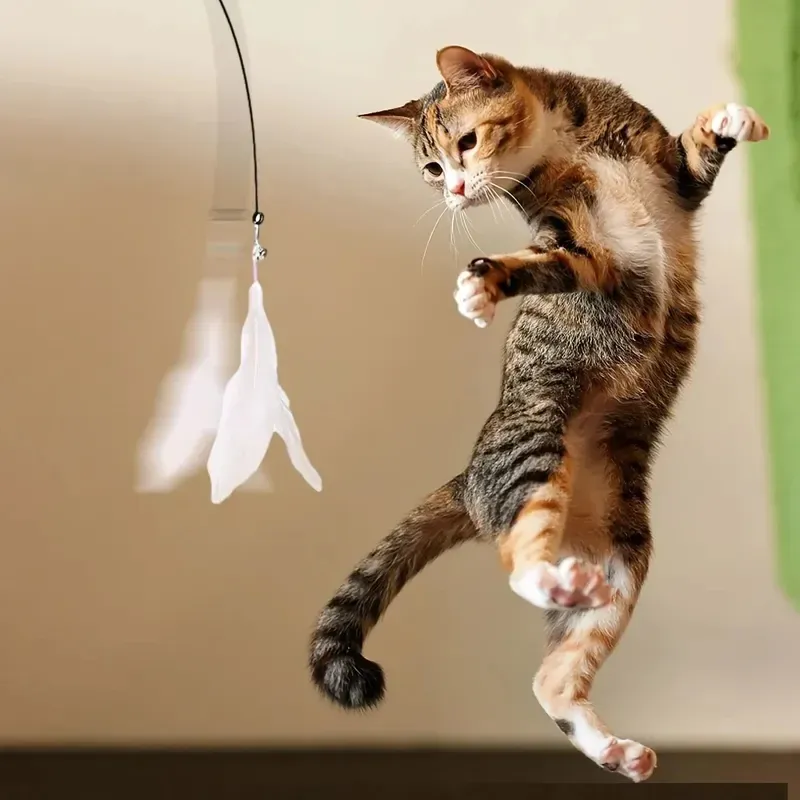 Cat Teaser Toy with Bell & Feather Wand 6