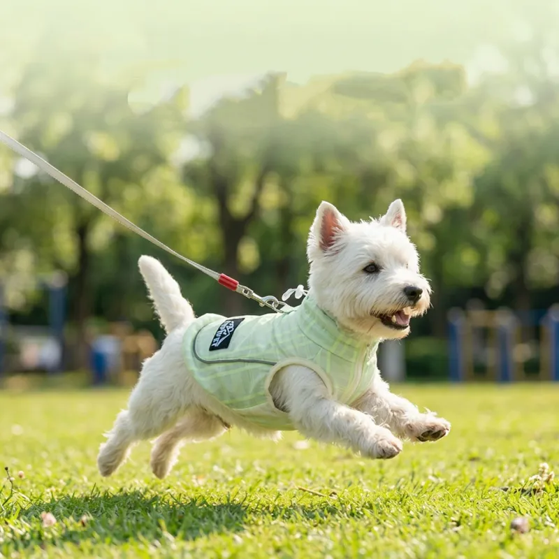Dog Cooling Vest Harness 2