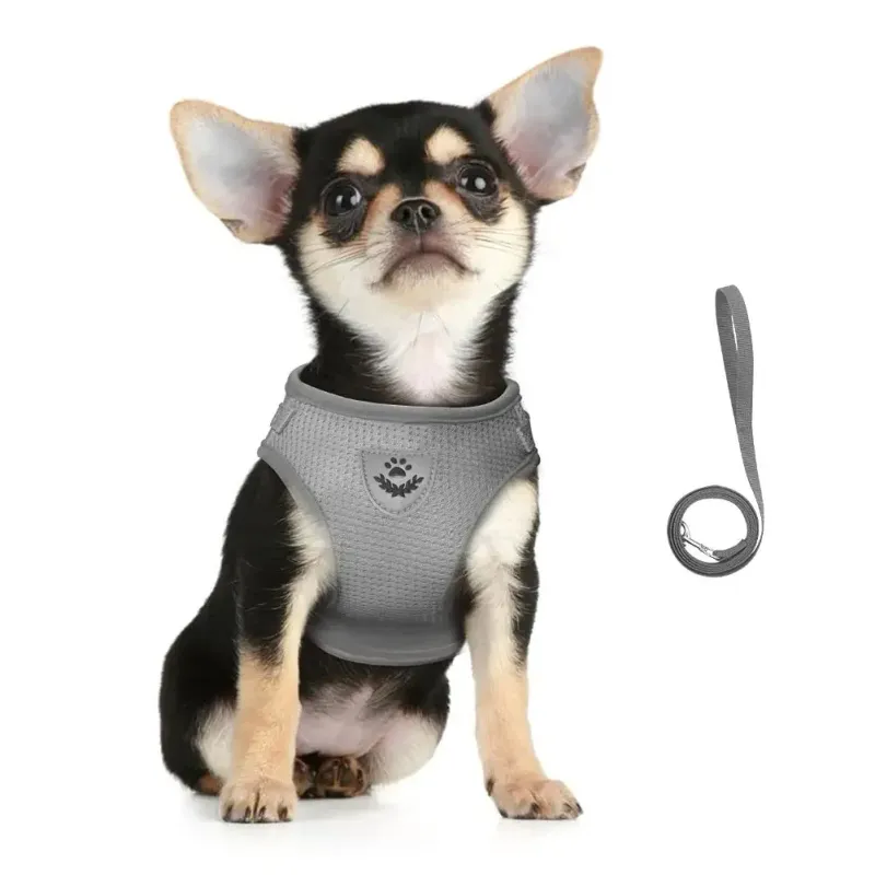 Escape Proof Cat Harness Leash Set 4