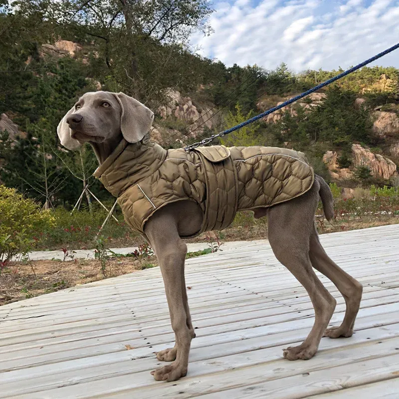 Winter Reflective Snowsuit Dog Coat 2
