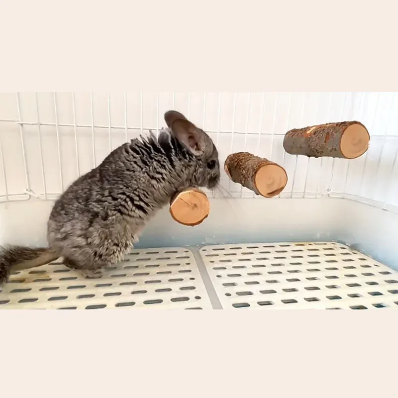 Natural Apple Wood Hamster Toy 3