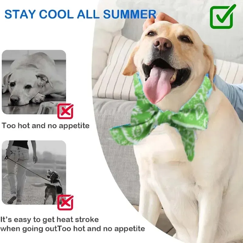 Cooling Scarf Ice Collar for Pets 3