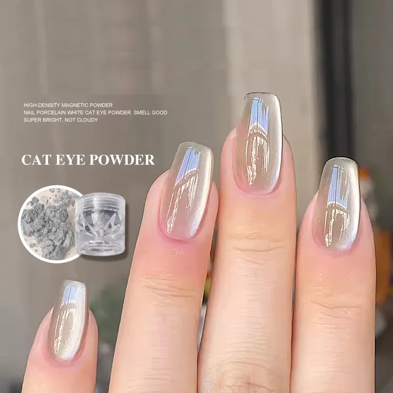 9D Velvet Cat Eye Magnetic Powder 1