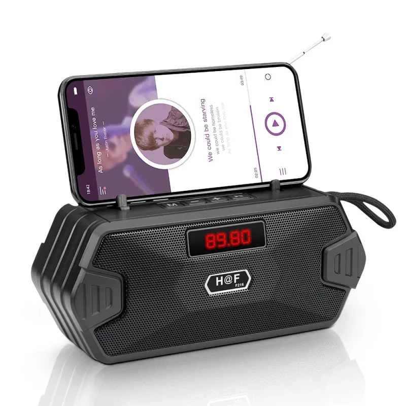 Portable Bluetooth Speaker with FM Radio 5