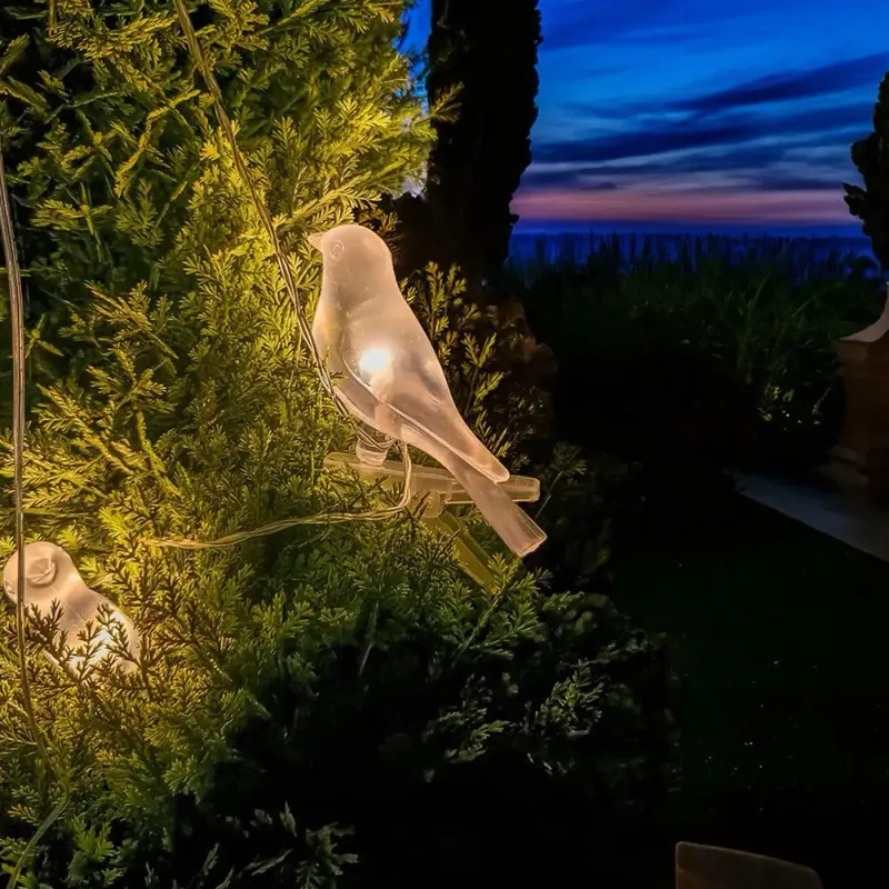 Solar Bird String Lights 4