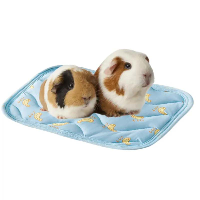 Pet Cooling Mat for Summer 5
