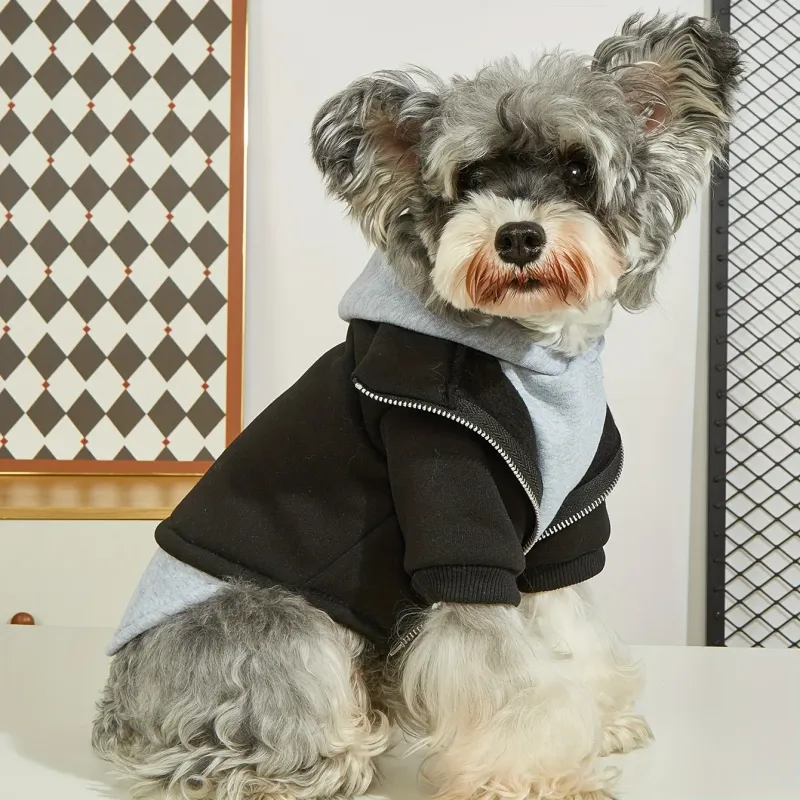 Winter Warm Dog Hoodie Pet Coat 4