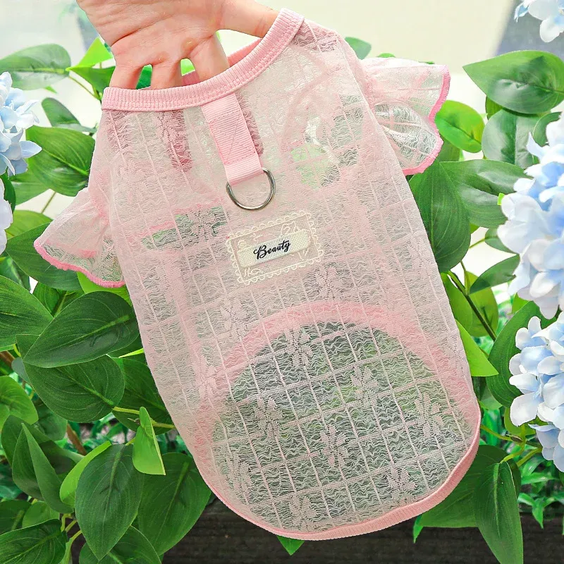 Fruit Print Dog Cooling Vest 6