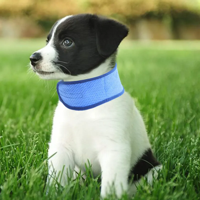 Cooling Dog Bandana Collar 5