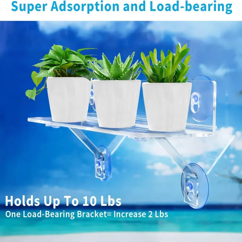 15" Suction Cup Plant Window Shelf 4