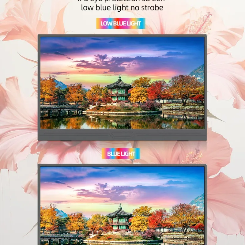 ZSUS 15.6" Portable HDR Monitor 4