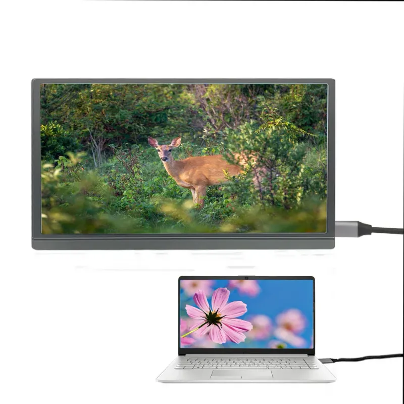15.6" Portable Monitor with HDMI/USB-C 4