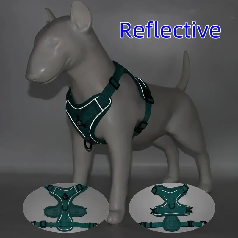 No-Pull Dog Harness & Leash Set 4