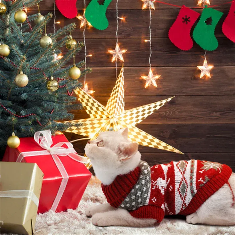 Cute Cat Winter Sweater Costume 5