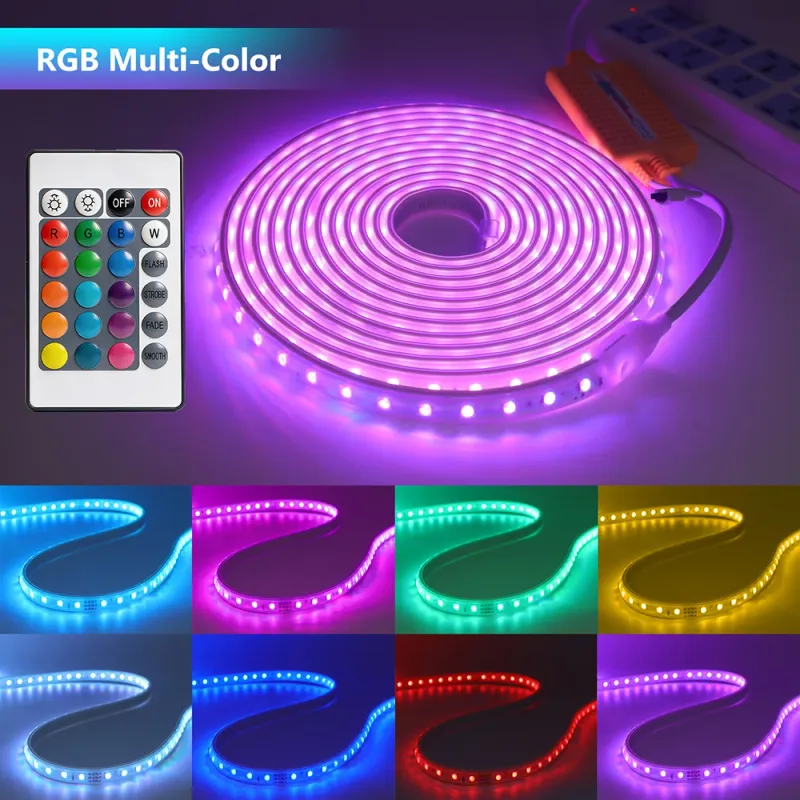 220V RGB LED Strip Light Kit with Remote 3