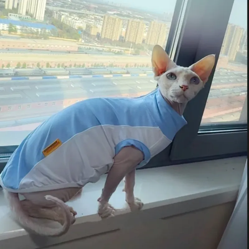 Sphynx Cat Cooling Mesh Vest 5