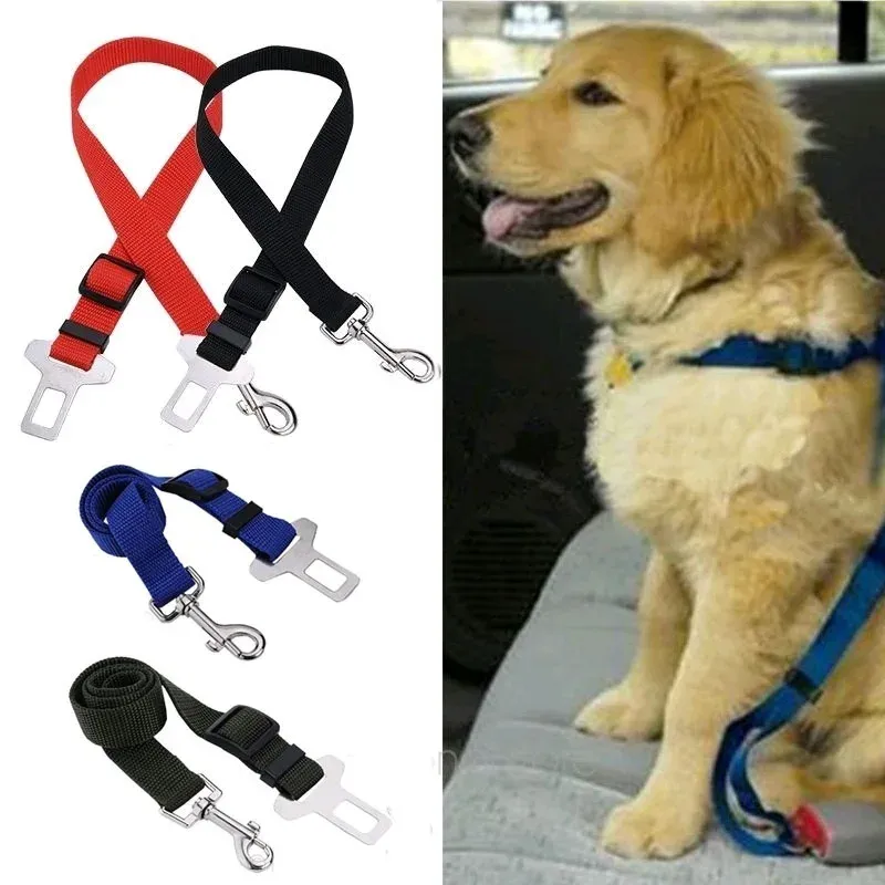 Car Seat Belt Dog Leash 1