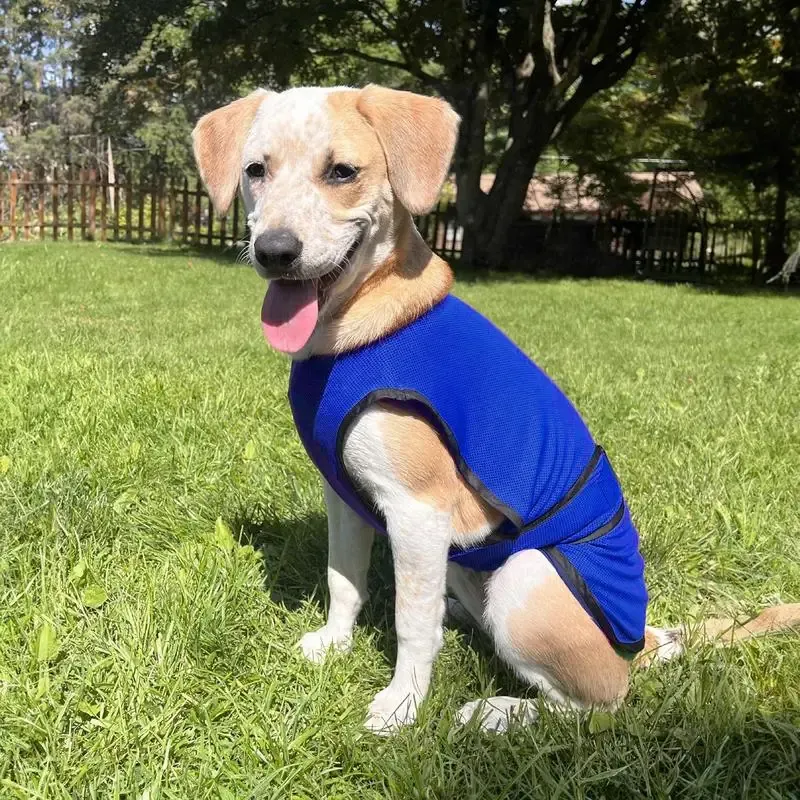 Dog Cooling Vest with UV Protection 1