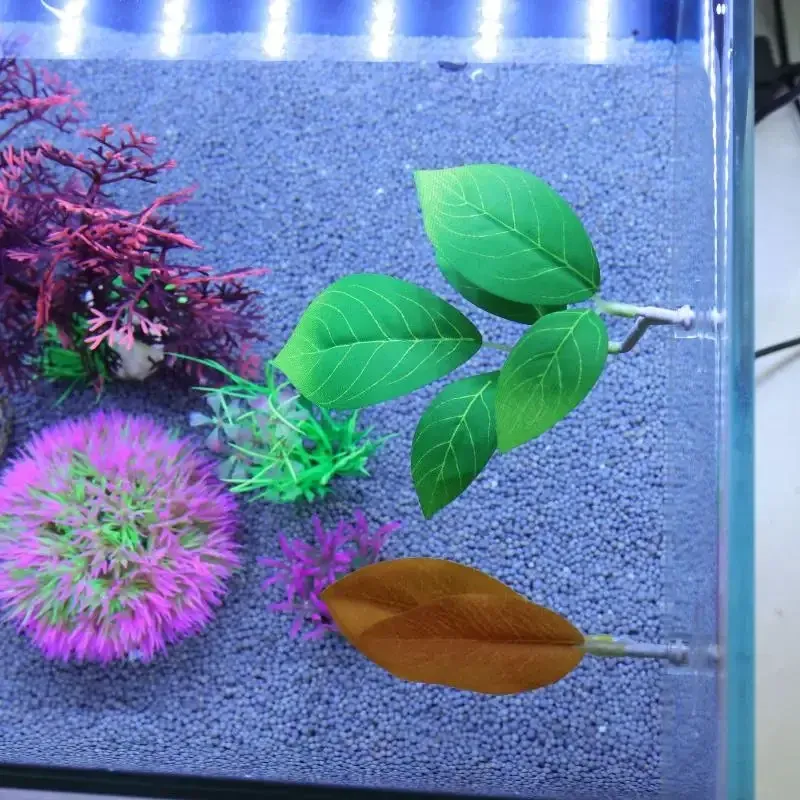 Betta Fish Leaf Hammock with Plant 4
