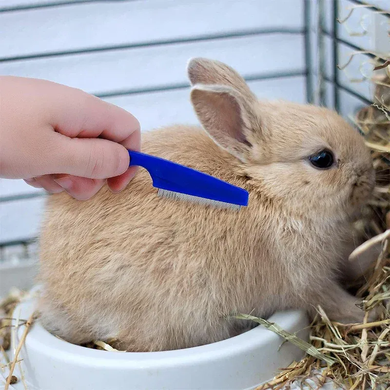 Rabbit Grooming Kit with Brush & Nail Clipper 5