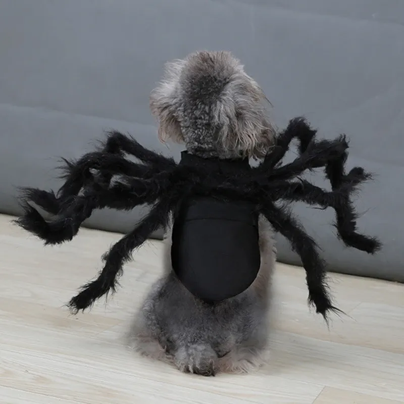 Halloween Spider Pet Costume 3